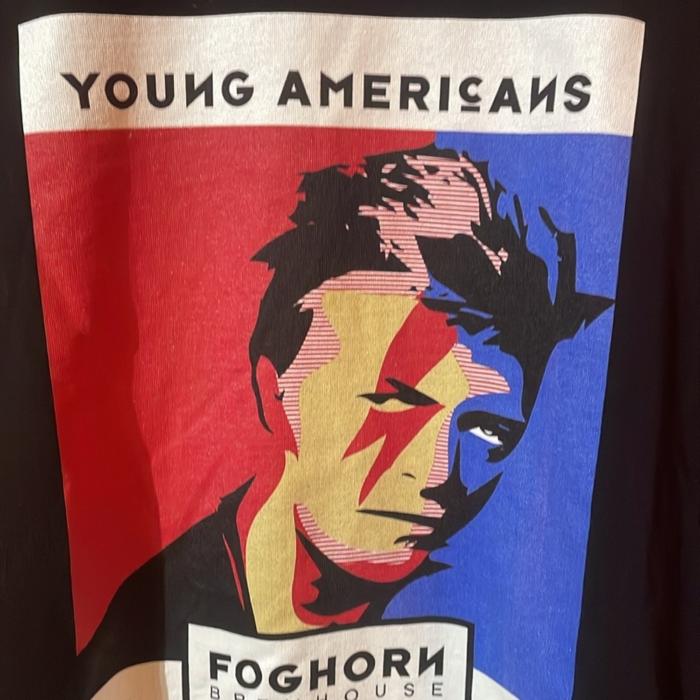 3️⃣ for 1️⃣5️⃣ Foghorn Brewhouse - Young Americans - Bowie - Picture 2 of 6